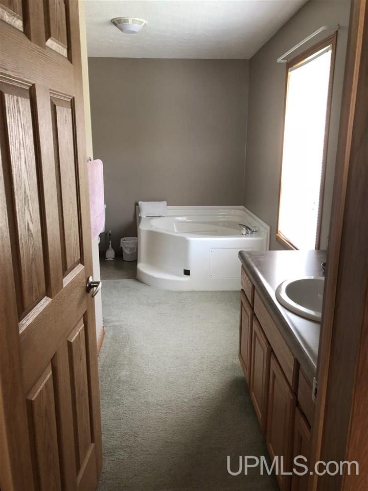 N696 Thornton Road Trenary, MI 49891 - Photo 28 of 39 Gallery Image 28