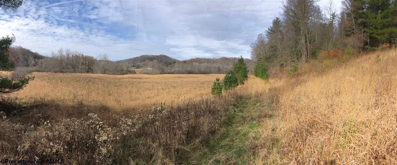 Tbd Gilman Road Elkins, WV 26241 - Photo 4 of 16 Gallery Image 4