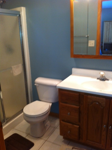 3972 East 2259th Road Serena, IL 60549 - Photo 7 of 24