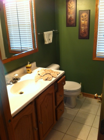 3972 East 2259th Road Serena, IL 60549 - Photo 9 of 24
