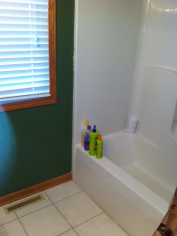 3972 East 2259th Road Serena, IL 60549 - Photo 10 of 24