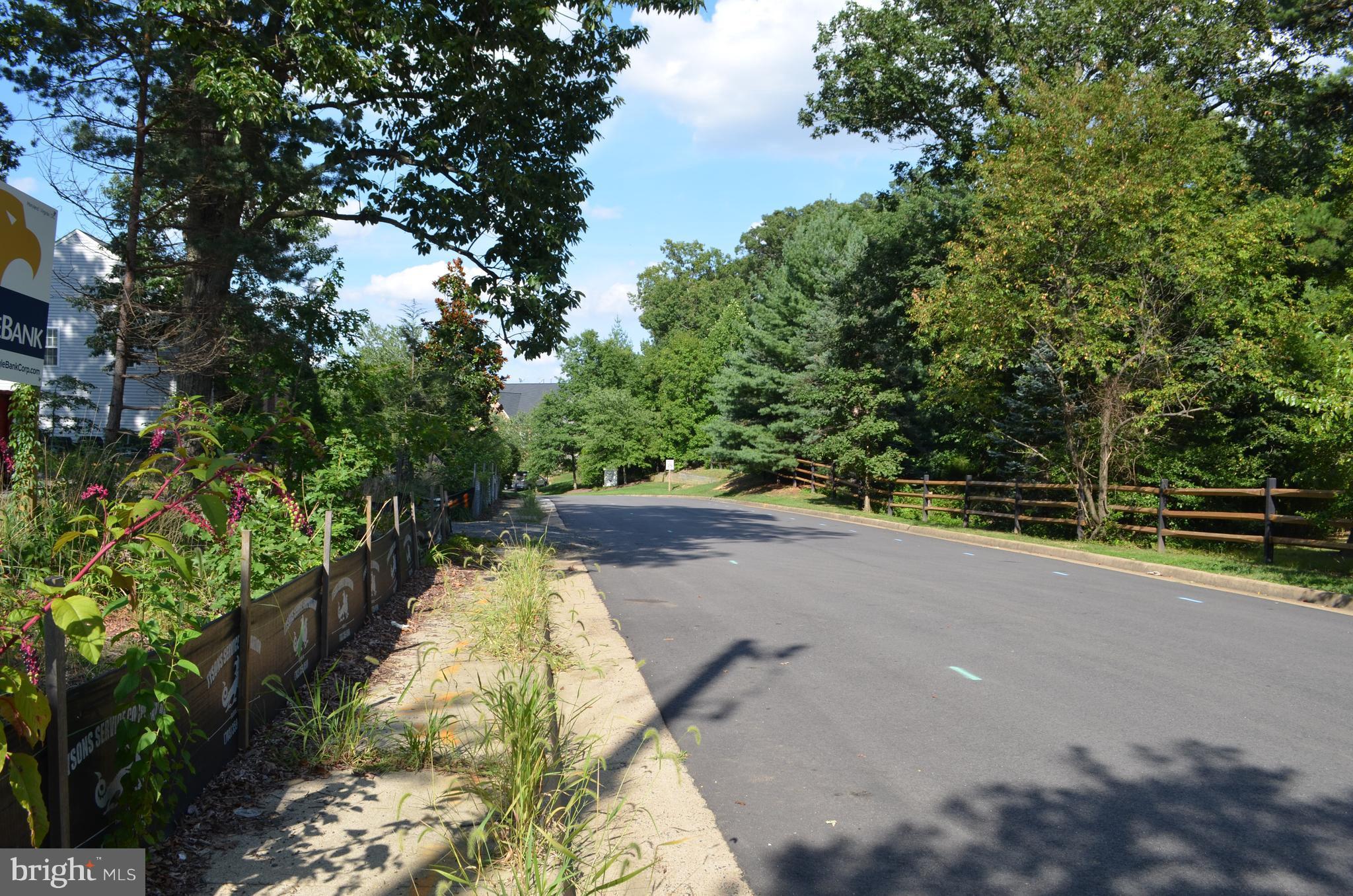 6164 Cobbs Road Alexandria, VA 22310 - Photo 8 of 9 Exterior (General)
