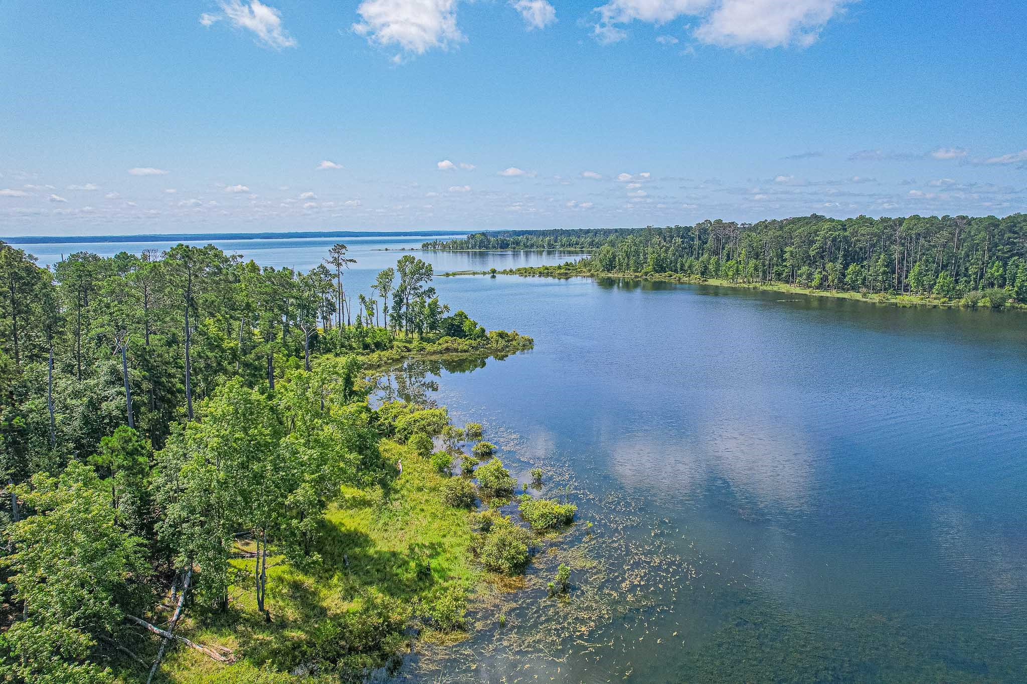 60 Fm 705 Broaddus, TX 75929 - Photo 5 of 11 a view of a lake with a city