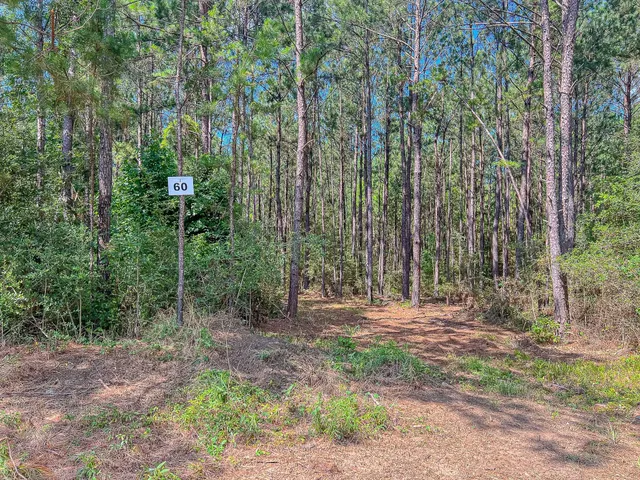 a view of outdoor space with trees