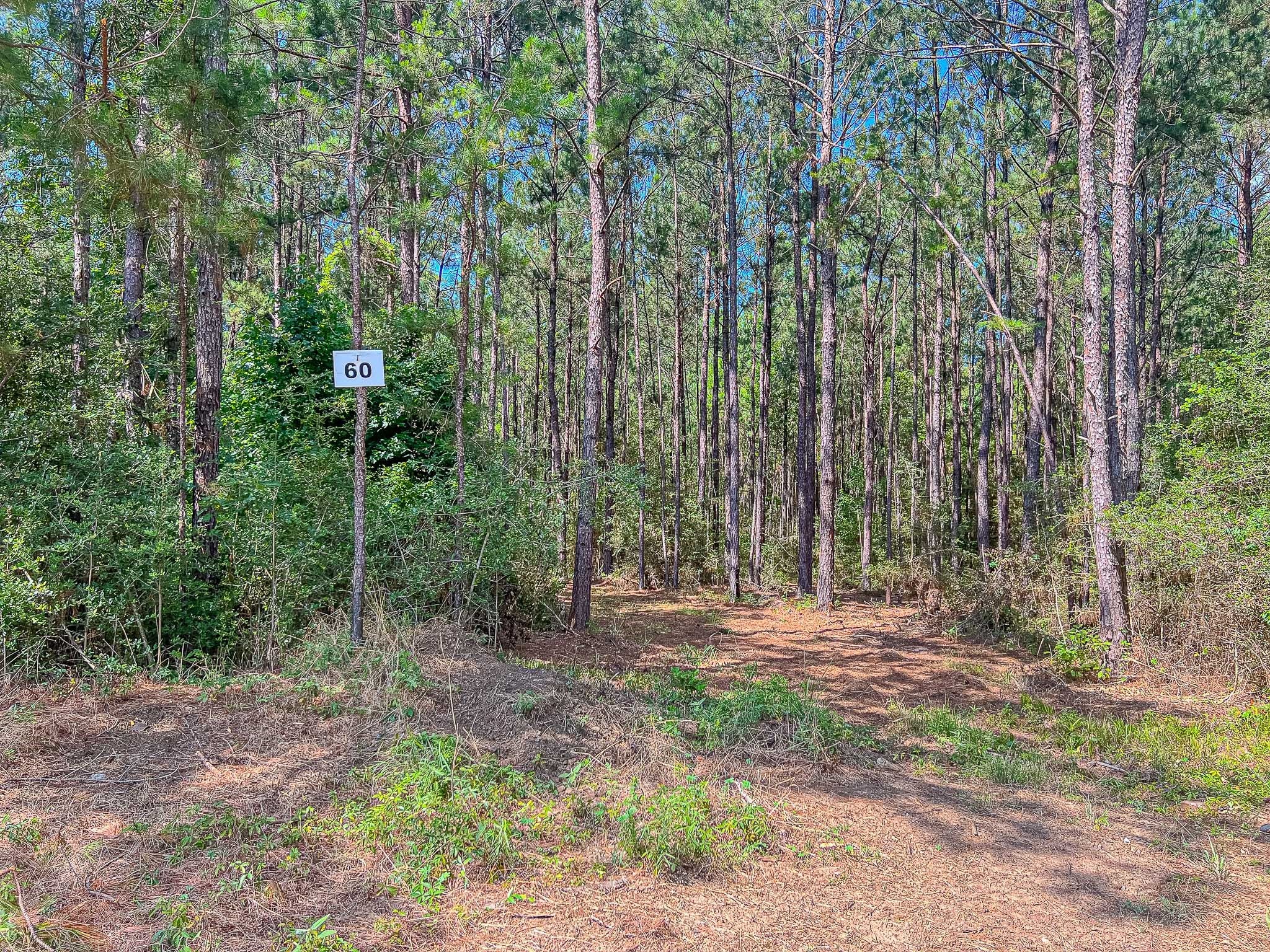 60 Fm 705 Broaddus, TX 75929 - Photo 8 of 11 a view of outdoor space with trees