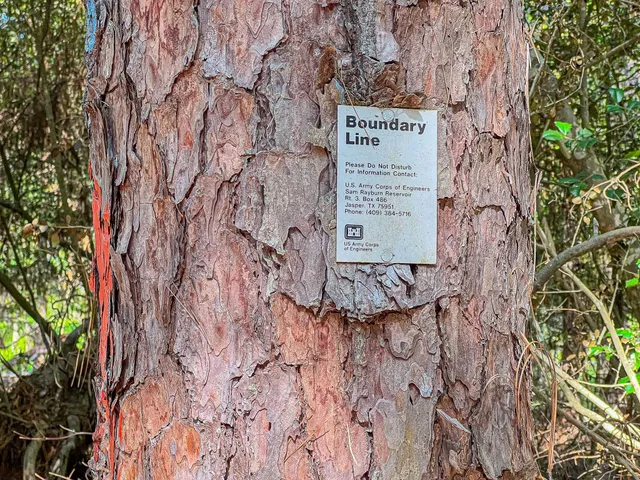 a view of an outdoor space