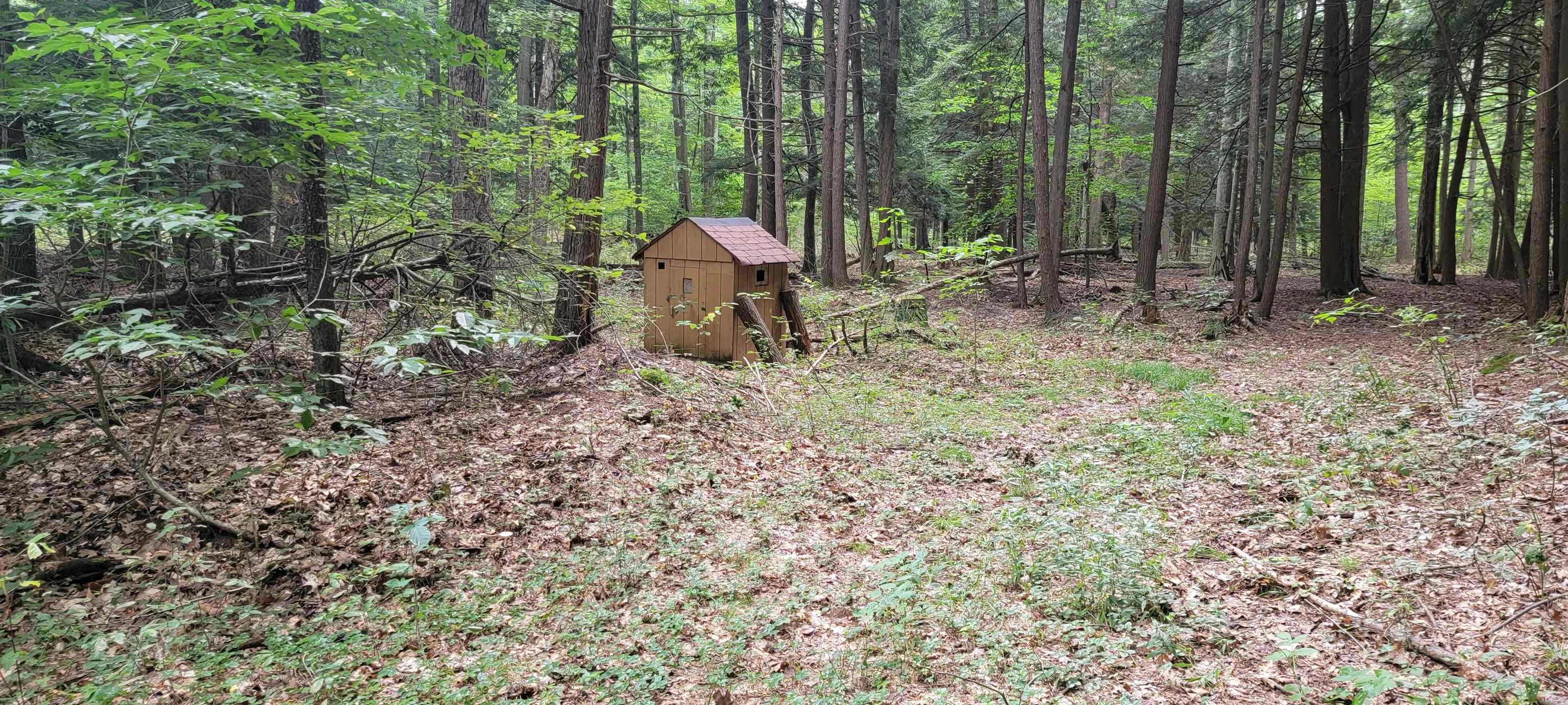 1708 Orr Road Caro, MI 48723 - Photo 27 of 37 Gallery Image 27