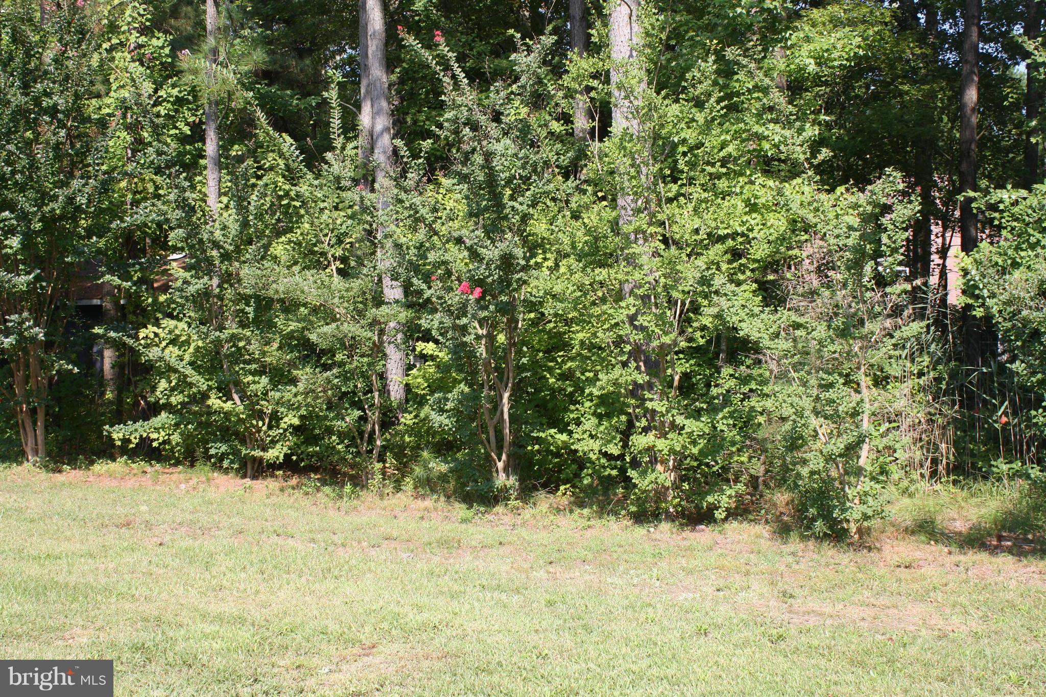 3 Bridgewater Road Ocean Pines, MD 21811 - Photo 23 of 30 Crepe Myrtles line the back yard