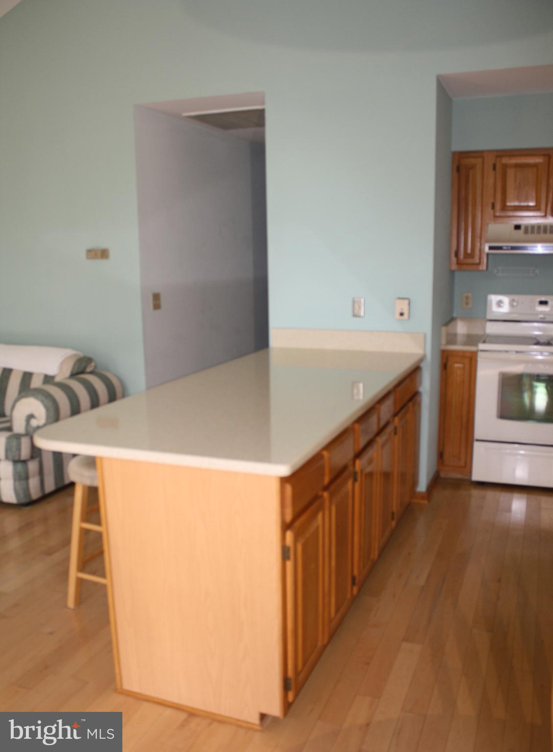 3 Bridgewater Road Ocean Pines, MD 21811 - Photo 7 of 30 Solid Surface Countertos