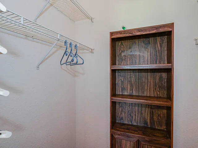 a view of a yard with plants and large trees