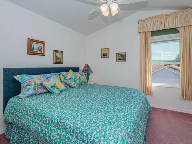 a view of a garden with plants