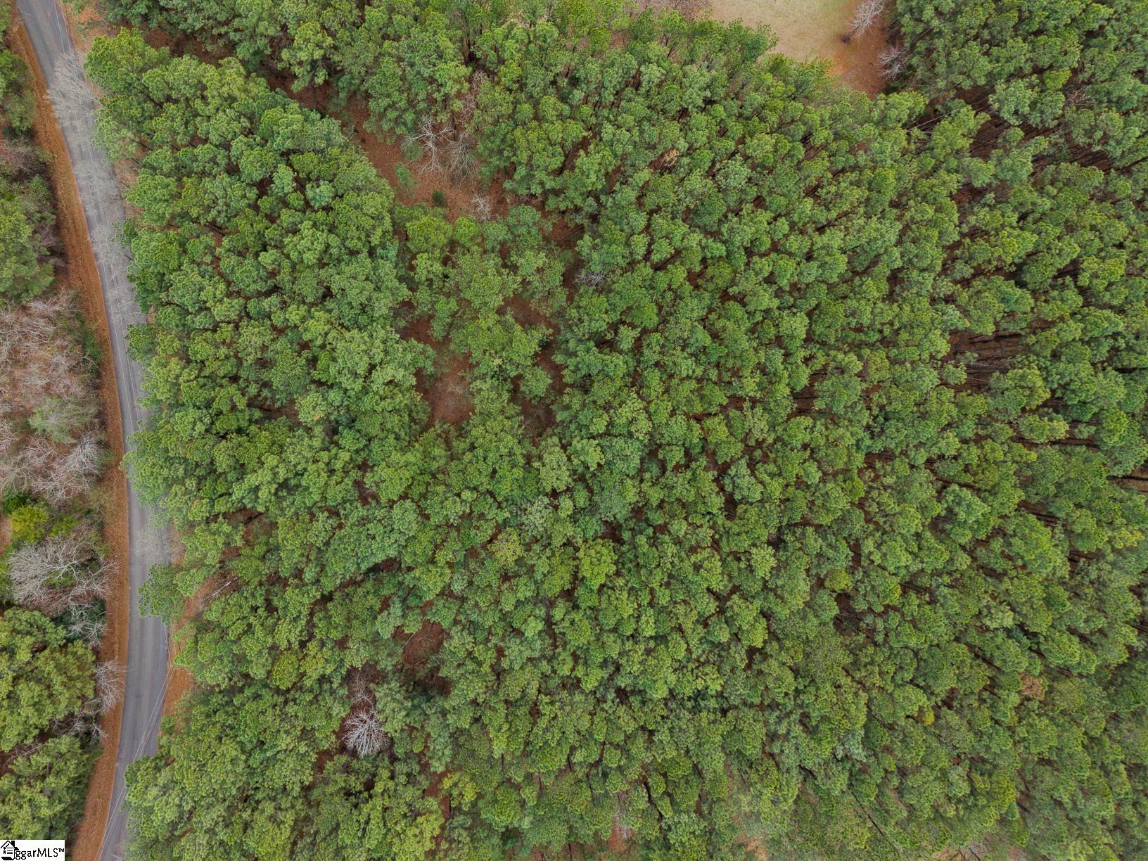 604 Audubon Place Iva, SC 29655 - Photo 11 of 12