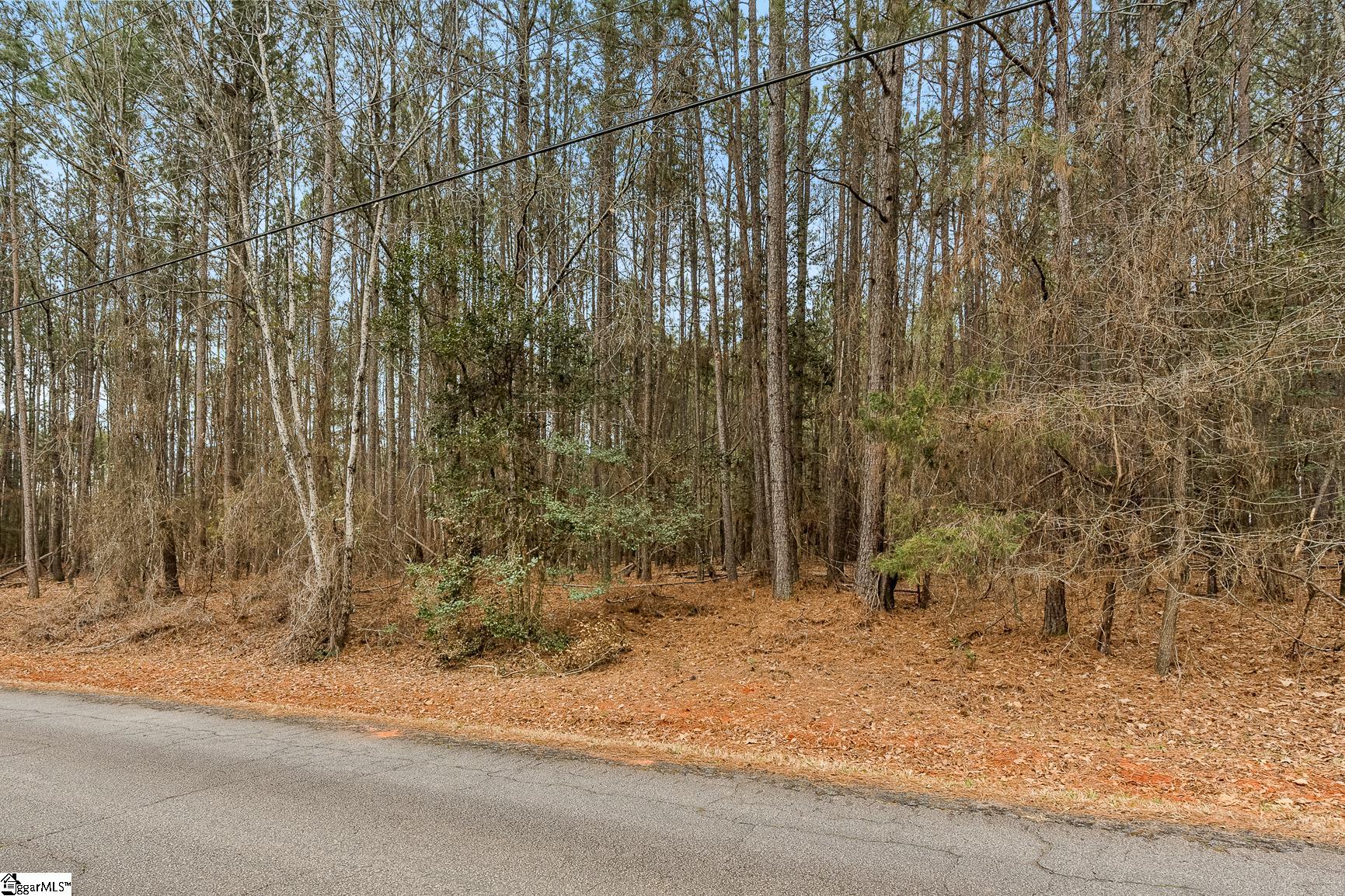 604 Audubon Place Iva, SC 29655 - Photo 3 of 12