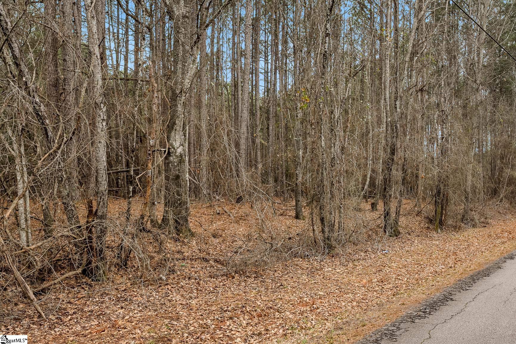 604 Audubon Place Iva, SC 29655 - Photo 4 of 12