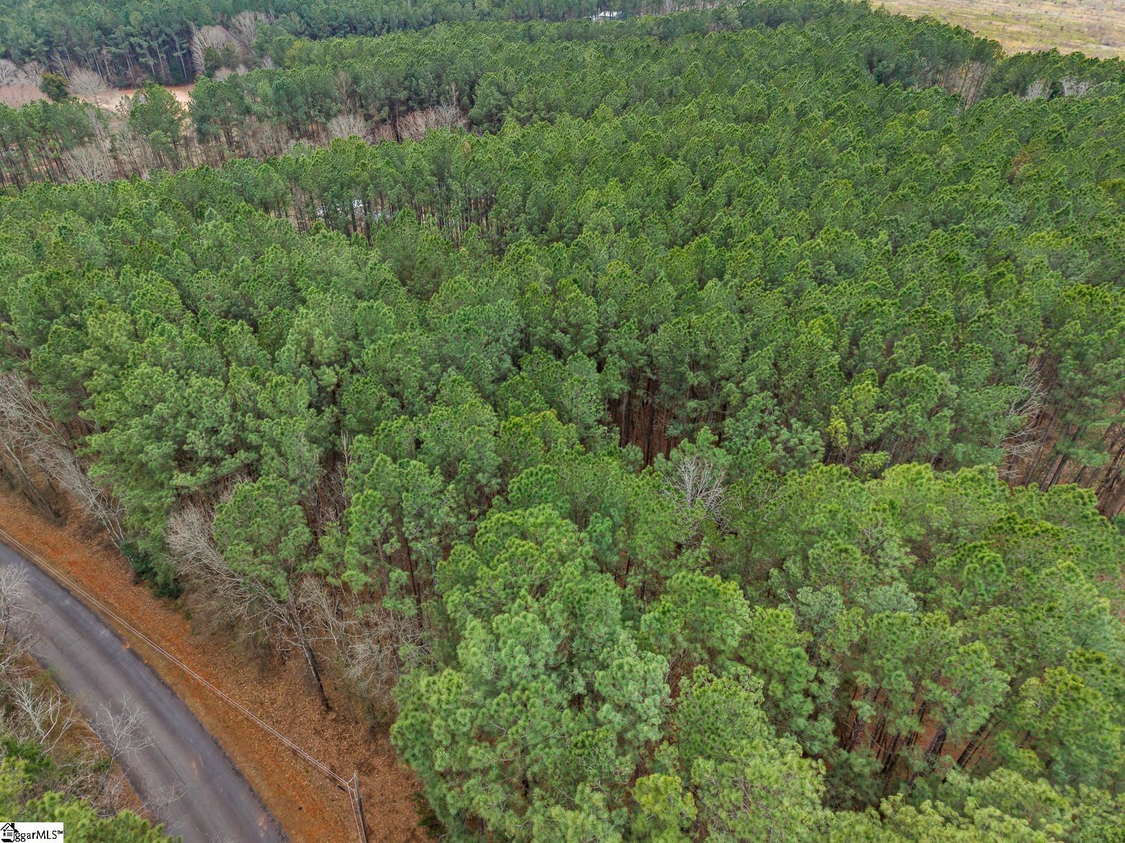 604 Audubon Place Iva, SC 29655 - Photo 7 of 12