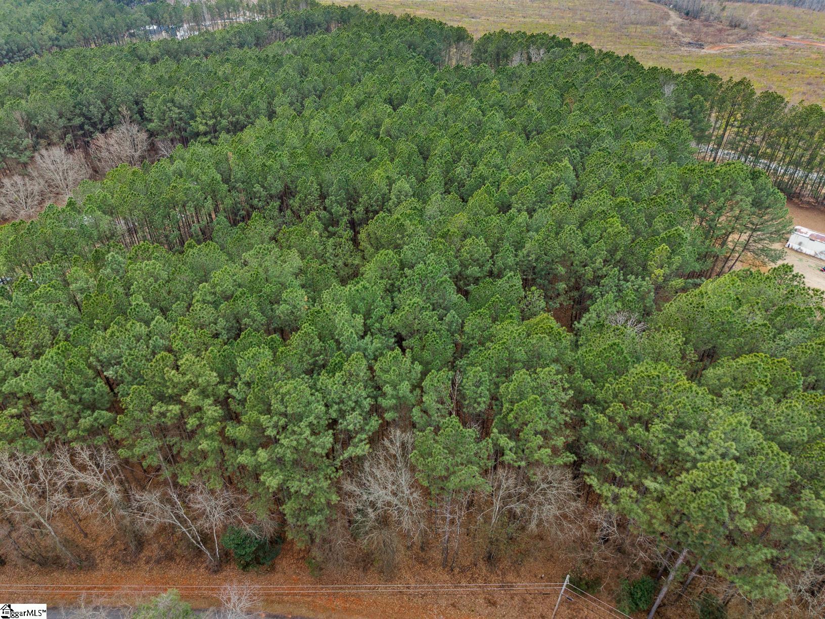 604 Audubon Place Iva, SC 29655 - Photo 8 of 12