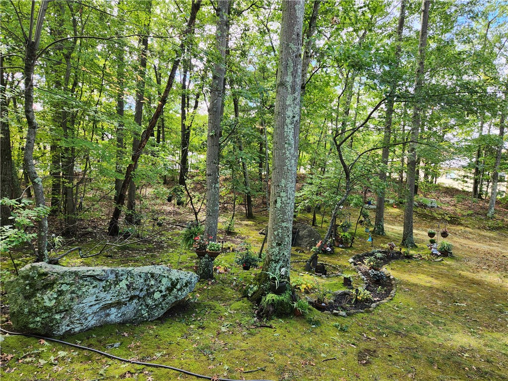9 Wake Robin Road, Unit 507 Lincoln, RI 02865 - Photo 9 of 21 view of back yard