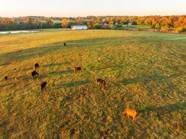 $449,000 | 32904 East 179th Street, Pleasant Hill, MO 64080