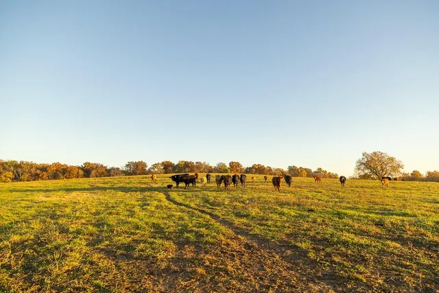 $449,000 | 32904 East 179th Street, Pleasant Hill, MO 64080