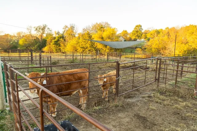 $449,000 | 32904 East 179th Street, Pleasant Hill, MO 64080