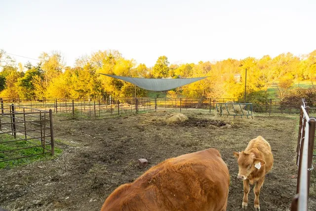 $449,000 | 32904 East 179th Street, Pleasant Hill, MO 64080