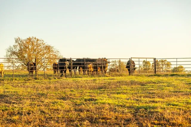 $449,000 | 32904 East 179th Street, Pleasant Hill, MO 64080