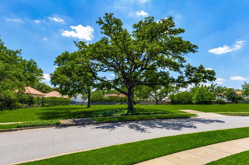 4311 Rheims Place Highland Park, TX 75205 - Photo 2 of 9 Mature shade trees frame a spacious green lawn, bordered by paved sidewalks and a street