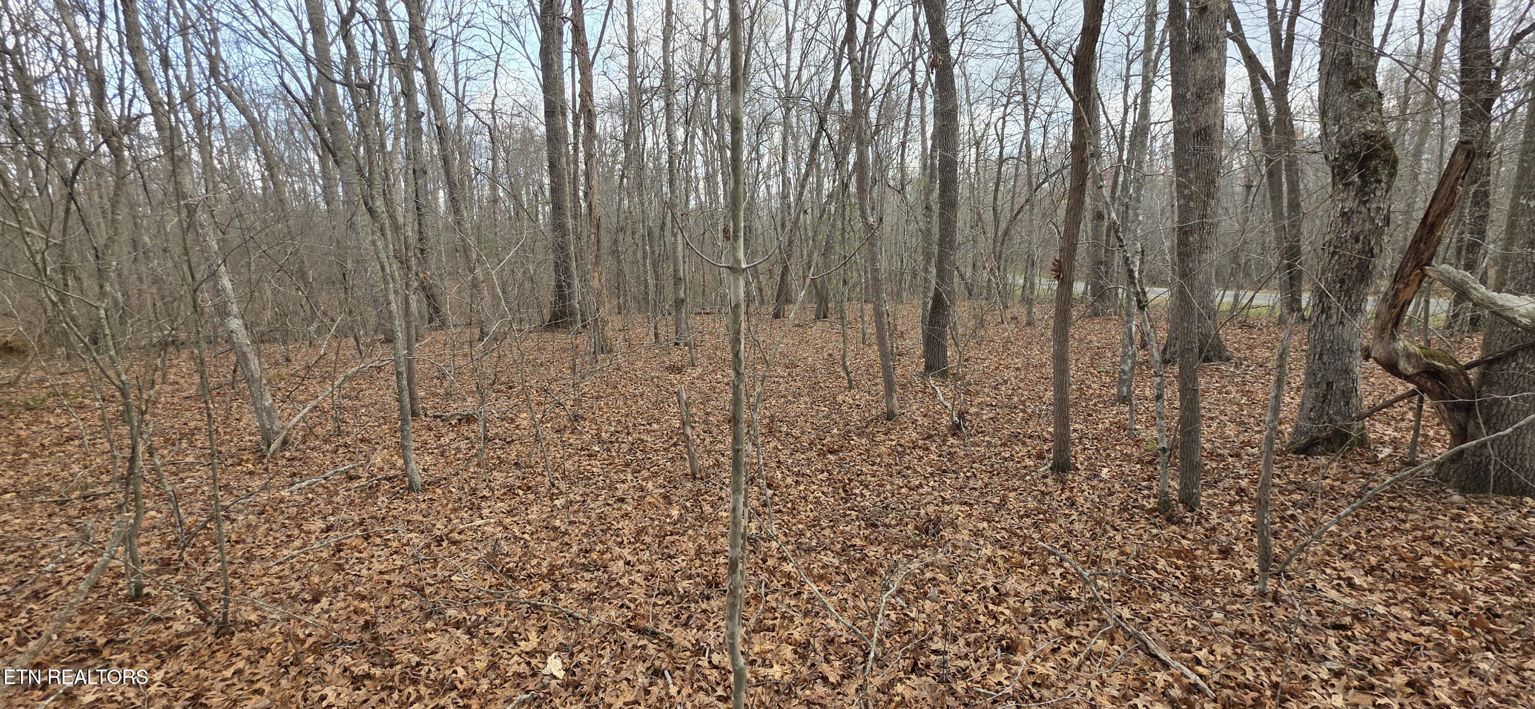 Pond Drive Photo 1