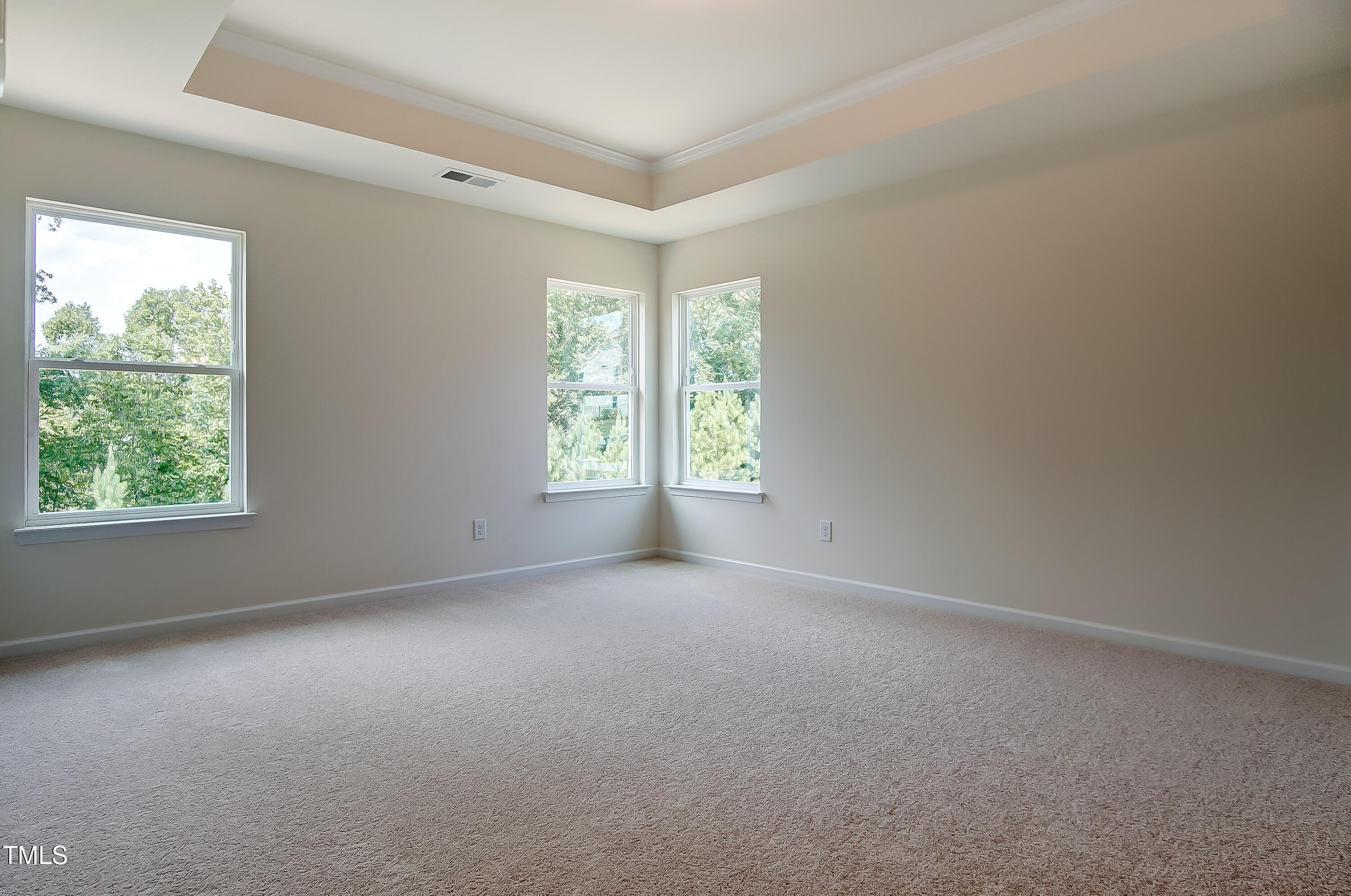 0 Sawmill Road Hillsborough, NC 27278 - Photo 25 of 49 an empty room with windows