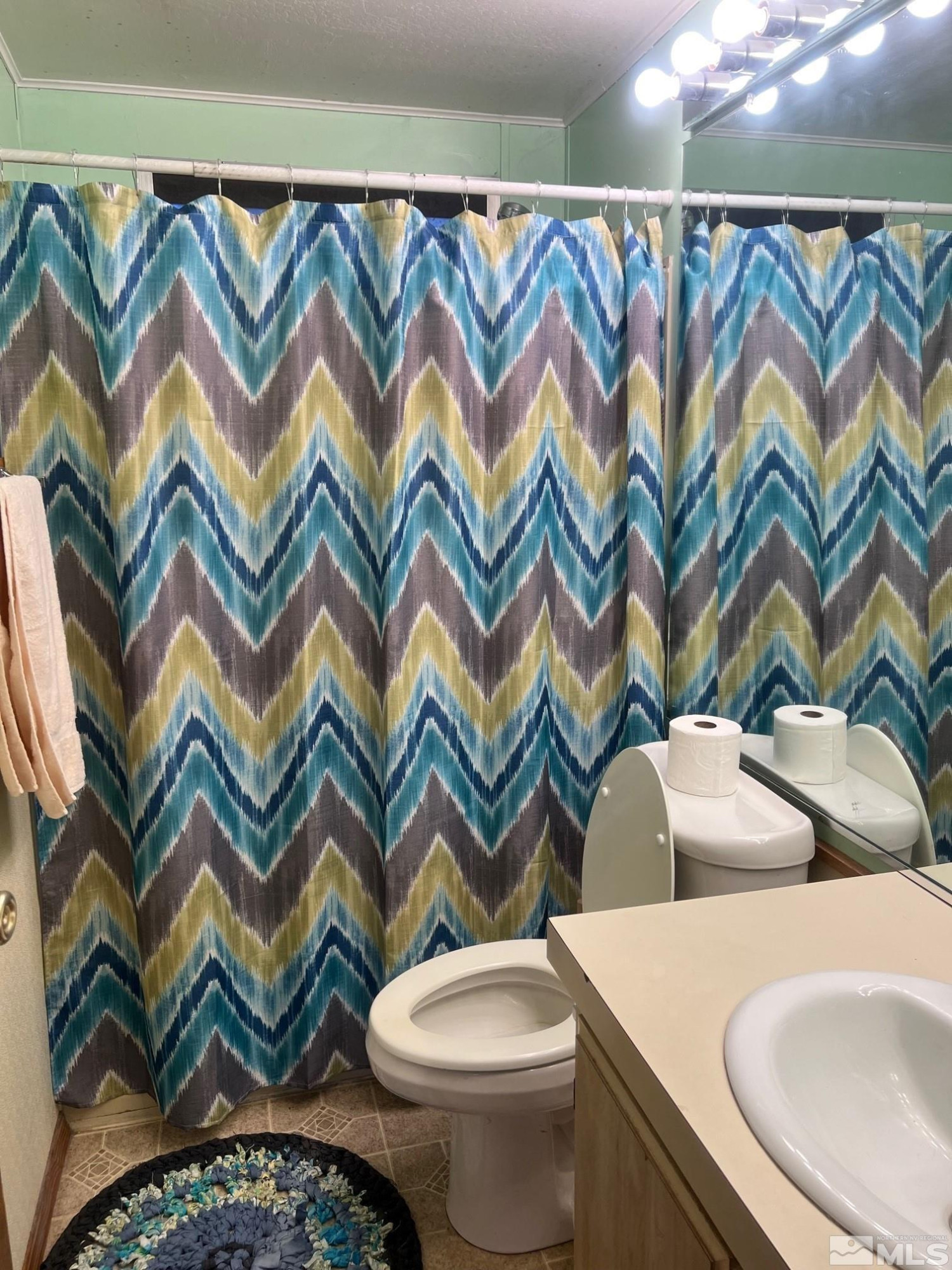 2690 Daffodil Way Reno, NV 89512 - Photo 19 of 20 a bathroom with a sink and a mirror