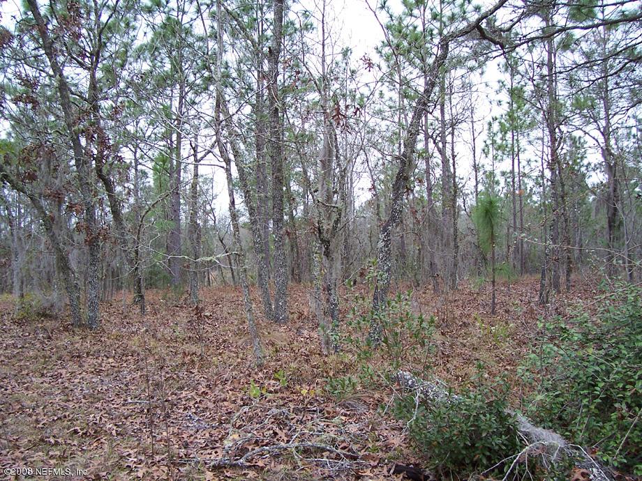 4437 M Lake Road Keystone Heights, FL 32656 - Photo 1 of 2 M-Lake Rd