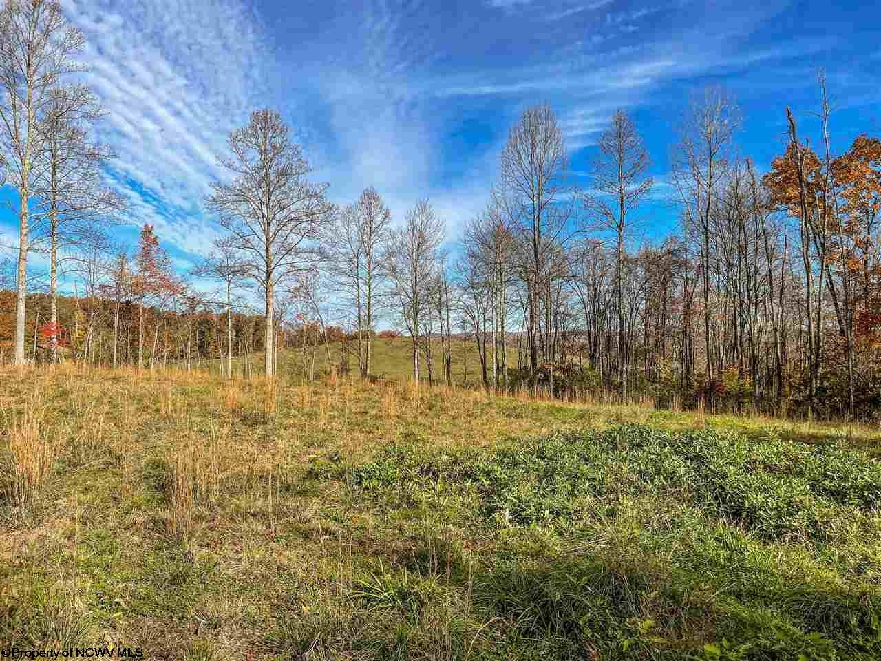 0 Sapp-Weaver Road Independence, WV 26374 - Photo 8 of 8 Gallery Image 8