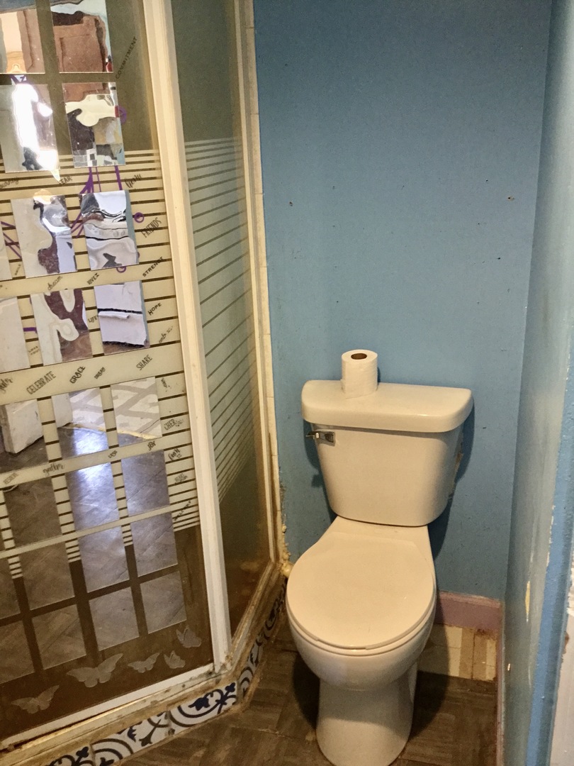 206 East Camp McDonald Road Prospect Heights, IL 60070 - Photo 20 of 57 a bathroom with a toilet and a shower