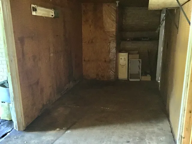 a view of yard with grass and trees