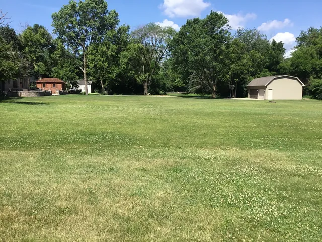 a view of a backyard with wooden fence and a large tree
