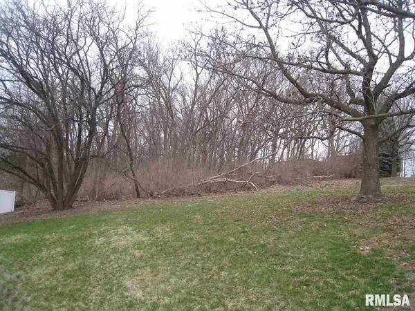 a view of backyard with large trees
