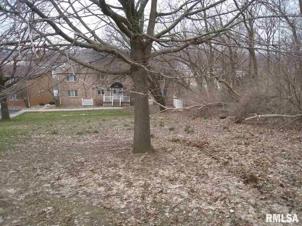 a view of a yard with plants and trees