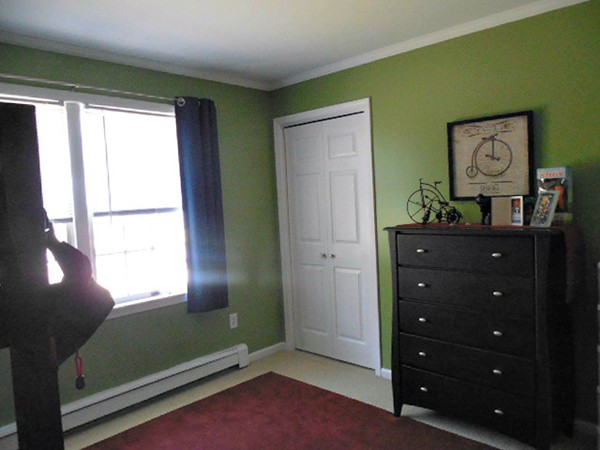 229 Peterson Road Palmer, MA 01069 - Photo 17 of 27 Gallery Image 17