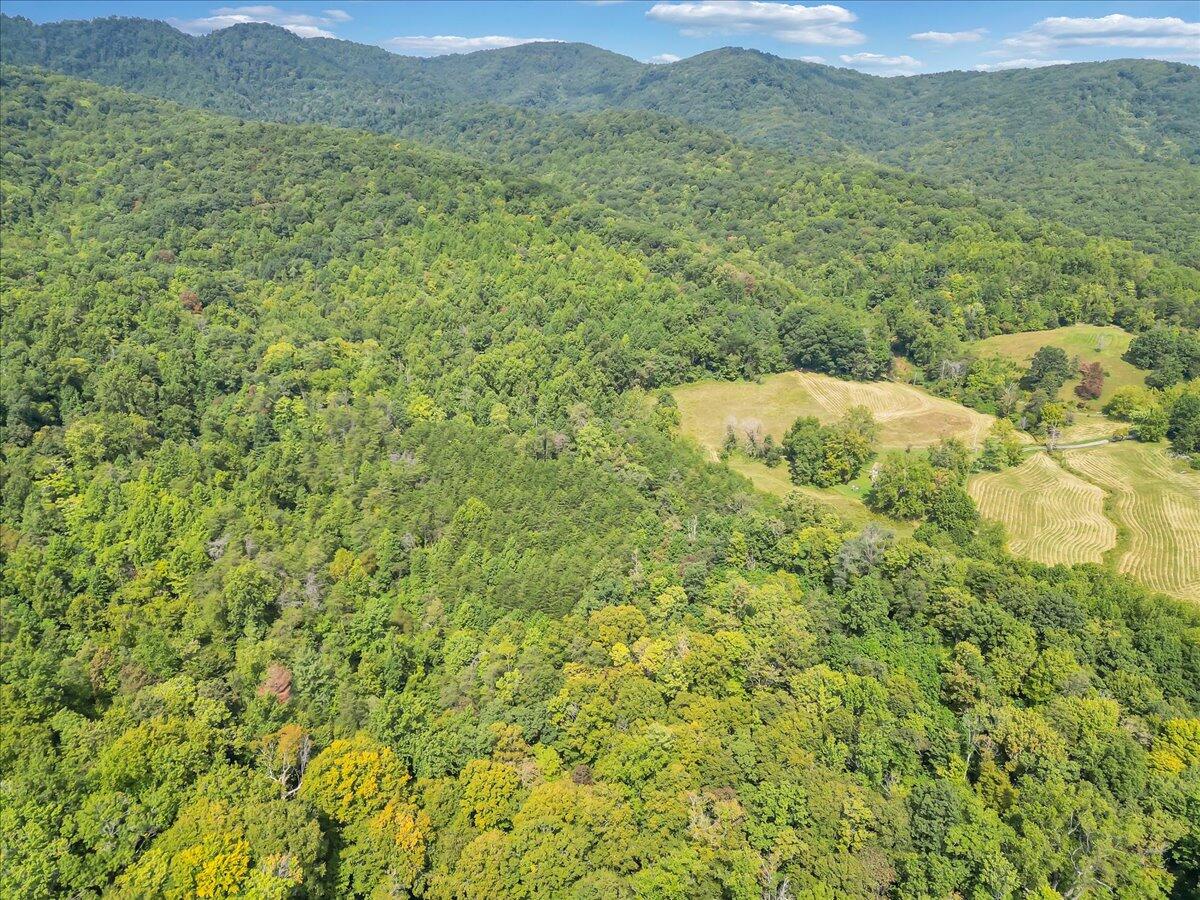 0 Newcomb Road Floyd, VA 24091 - Photo 11 of 21 09-DJI_0353