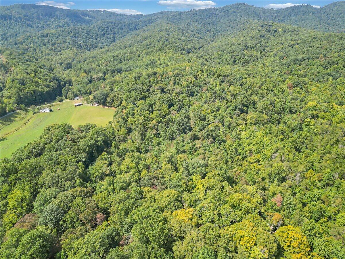 0 Newcomb Road Floyd, VA 24091 - Photo 12 of 21 10-DJI_0354