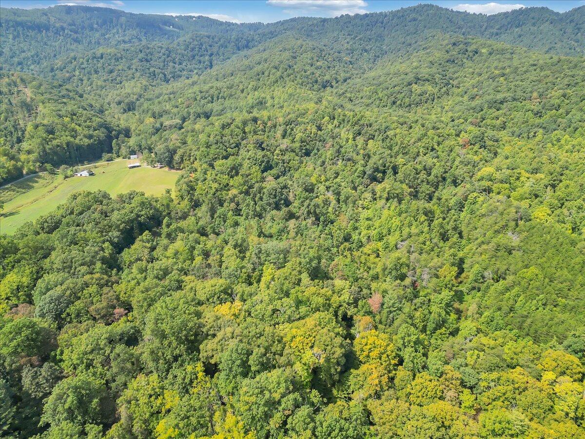 0 Newcomb Road Floyd, VA 24091 - Photo 13 of 21 11-DJI_0355