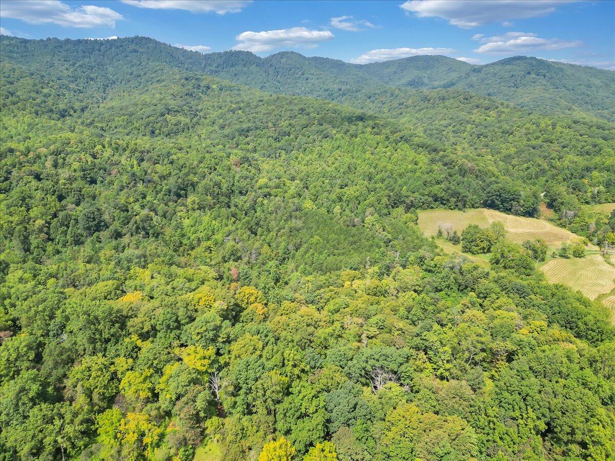 0 Newcomb Road Floyd, VA 24091 - Photo 15 of 21 13-DJI_0357
