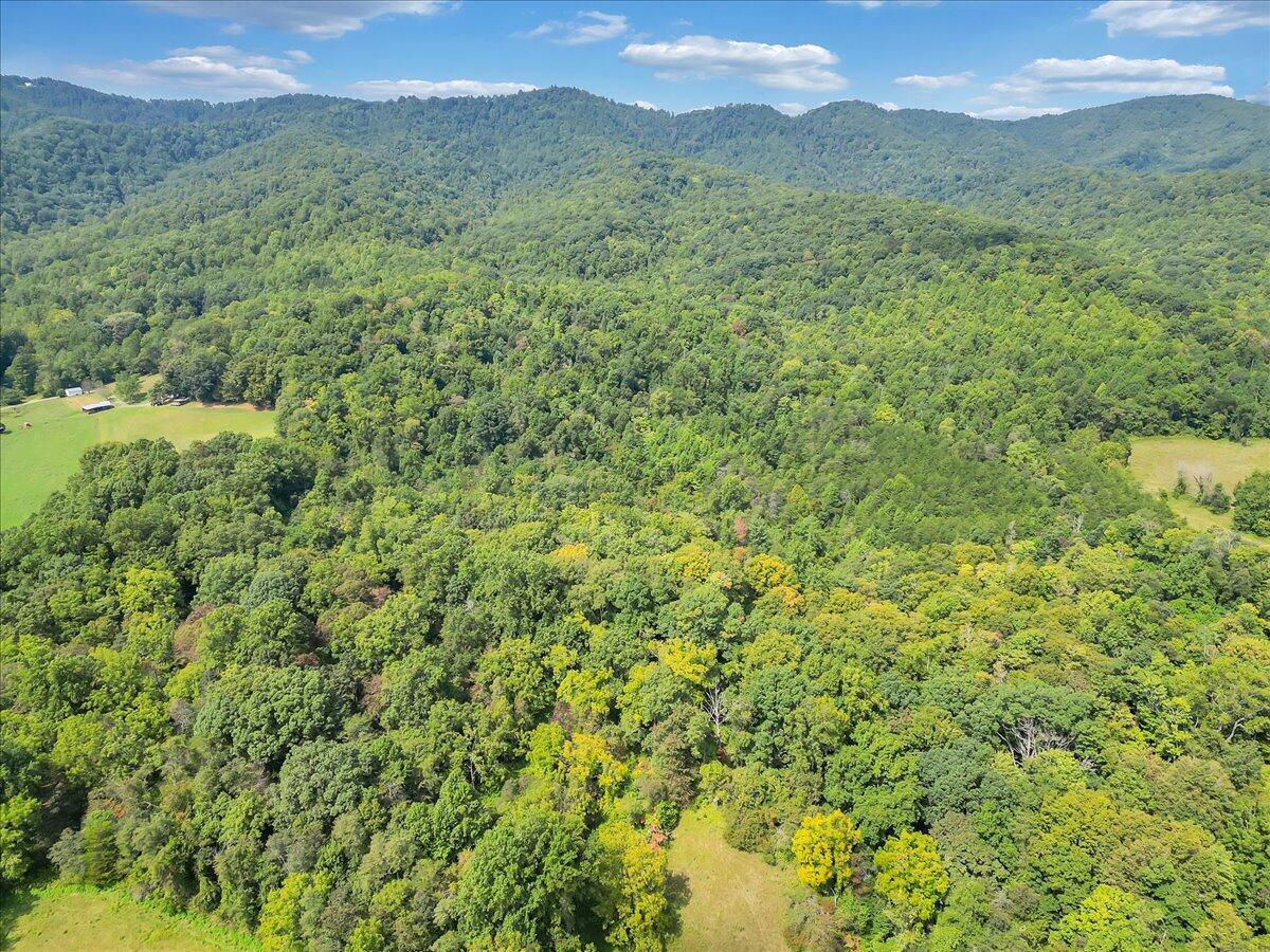 0 Newcomb Road Floyd, VA 24091 - Photo 16 of 21 14-DJI_0358