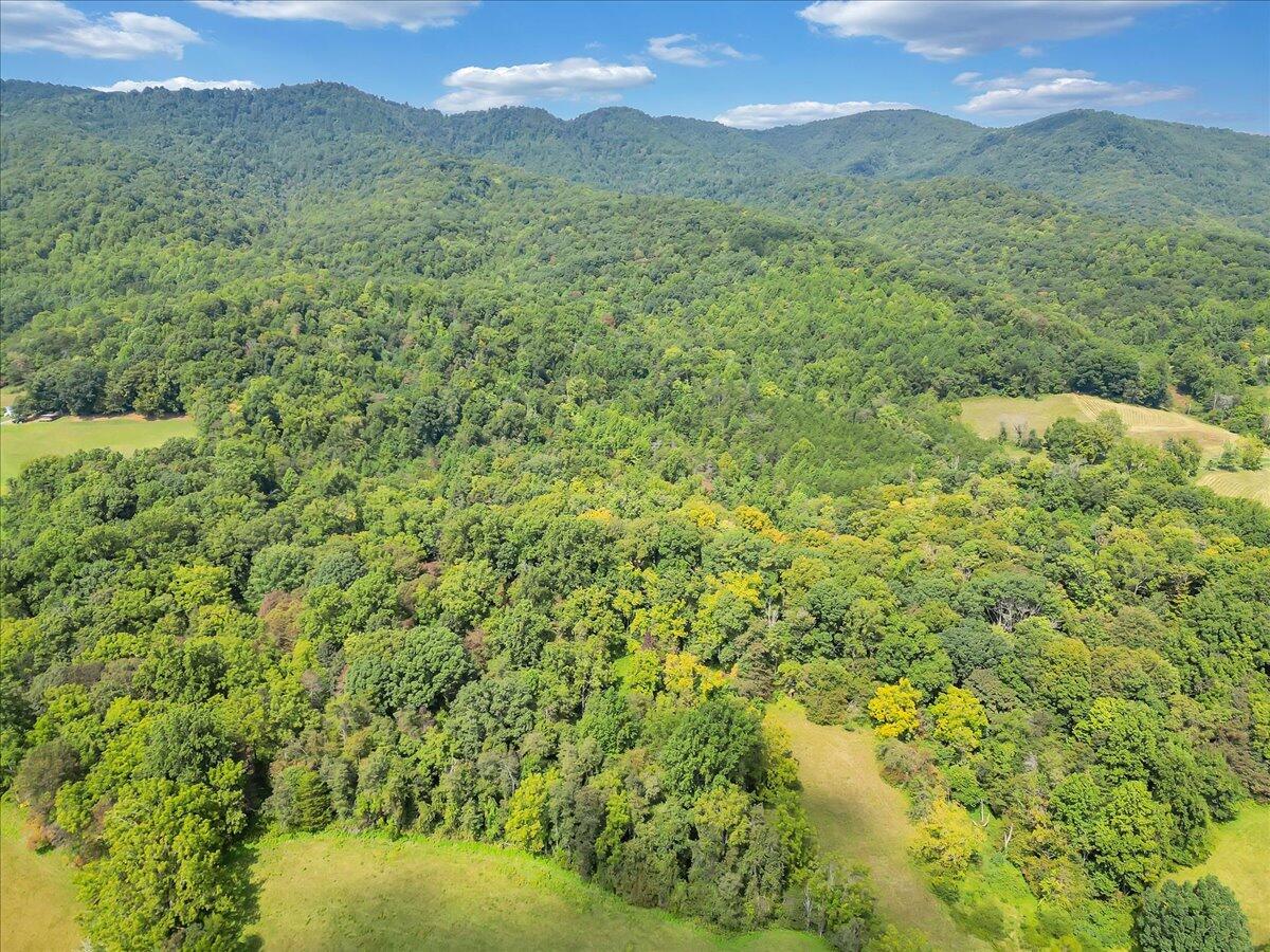 0 Newcomb Road Floyd, VA 24091 - Photo 17 of 21 15-DJI_0359