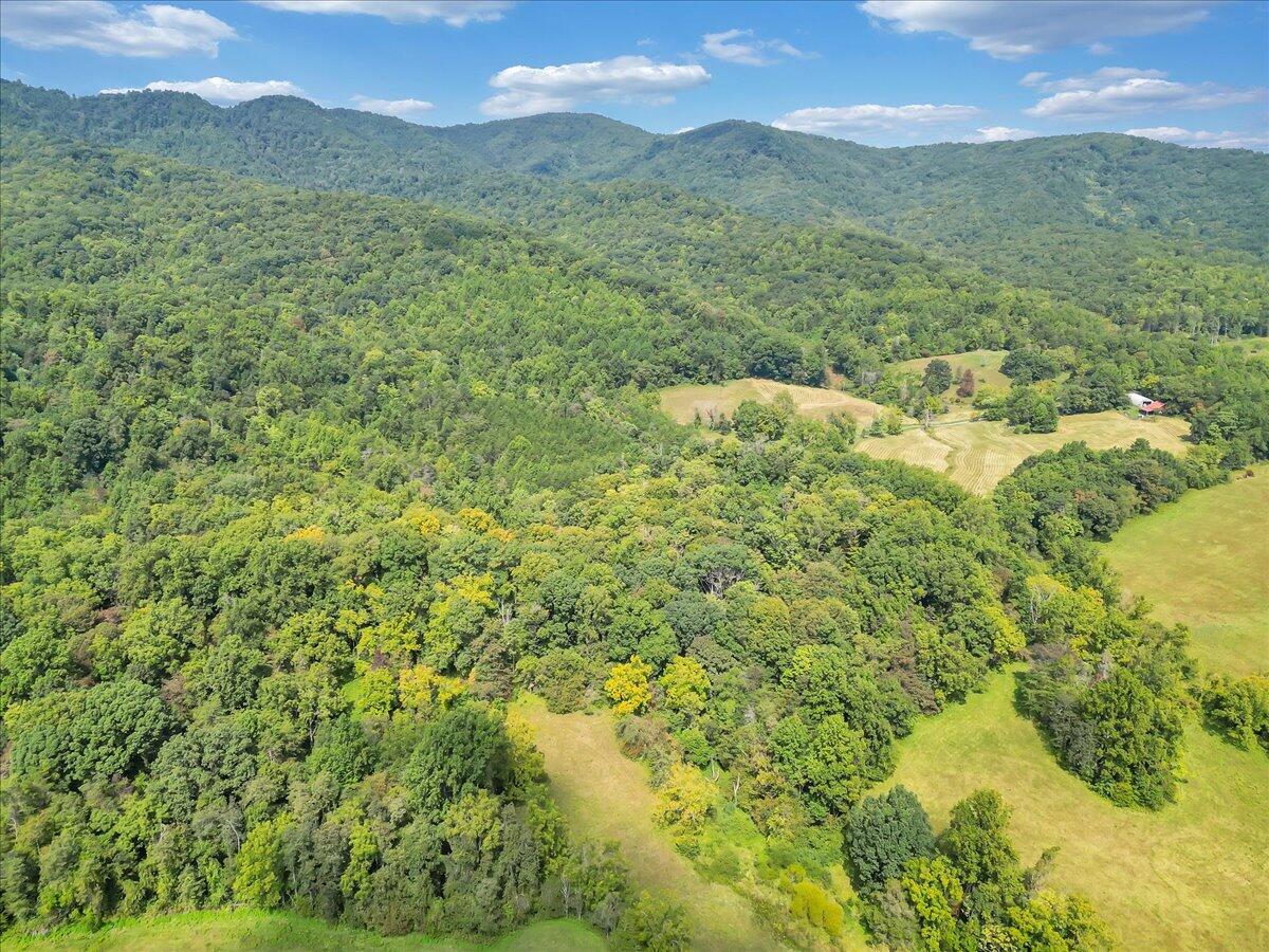 0 Newcomb Road Floyd, VA 24091 - Photo 18 of 21 16-DJI_0360