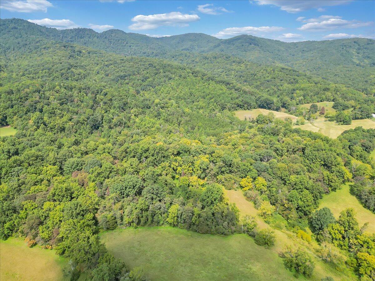 0 Newcomb Road Floyd, VA 24091 - Photo 19 of 21 17-DJI_0361