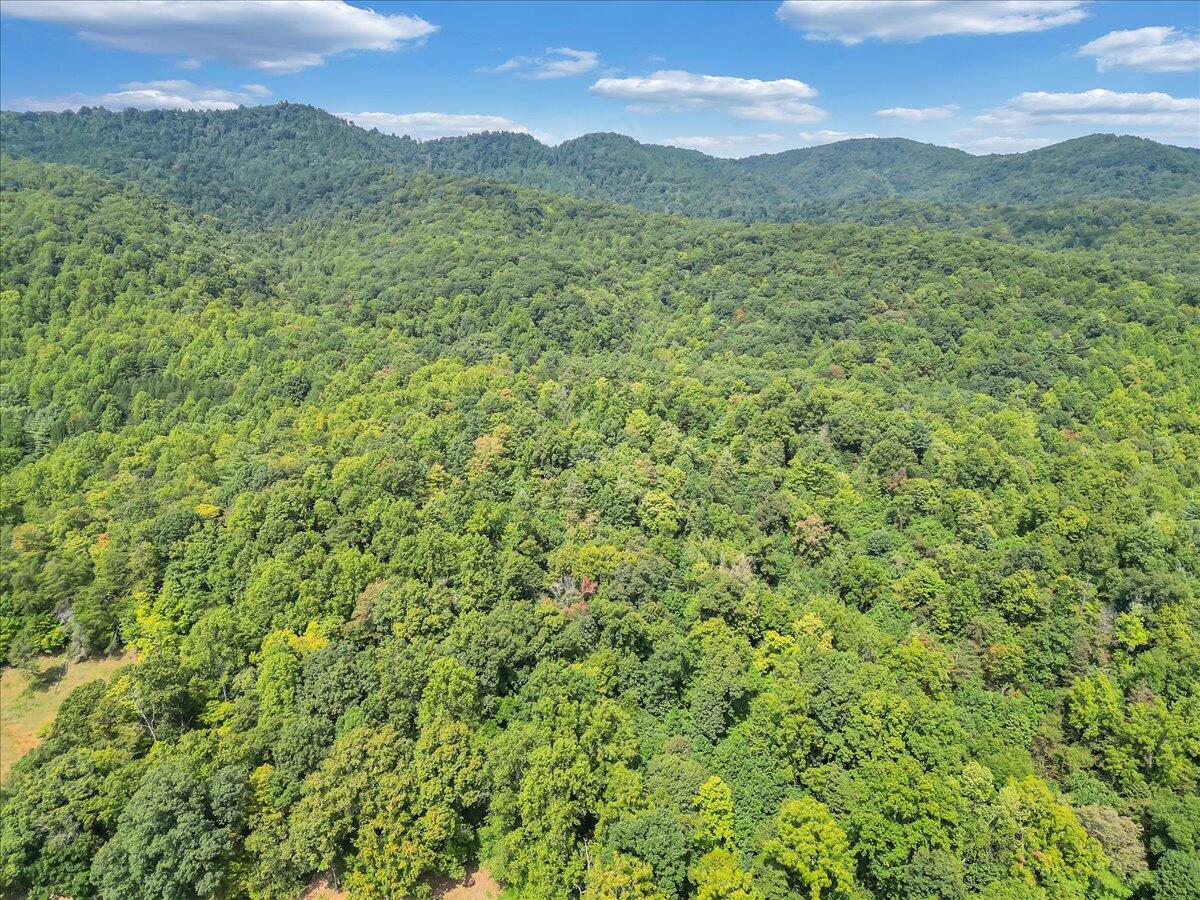 03-DJI_0347