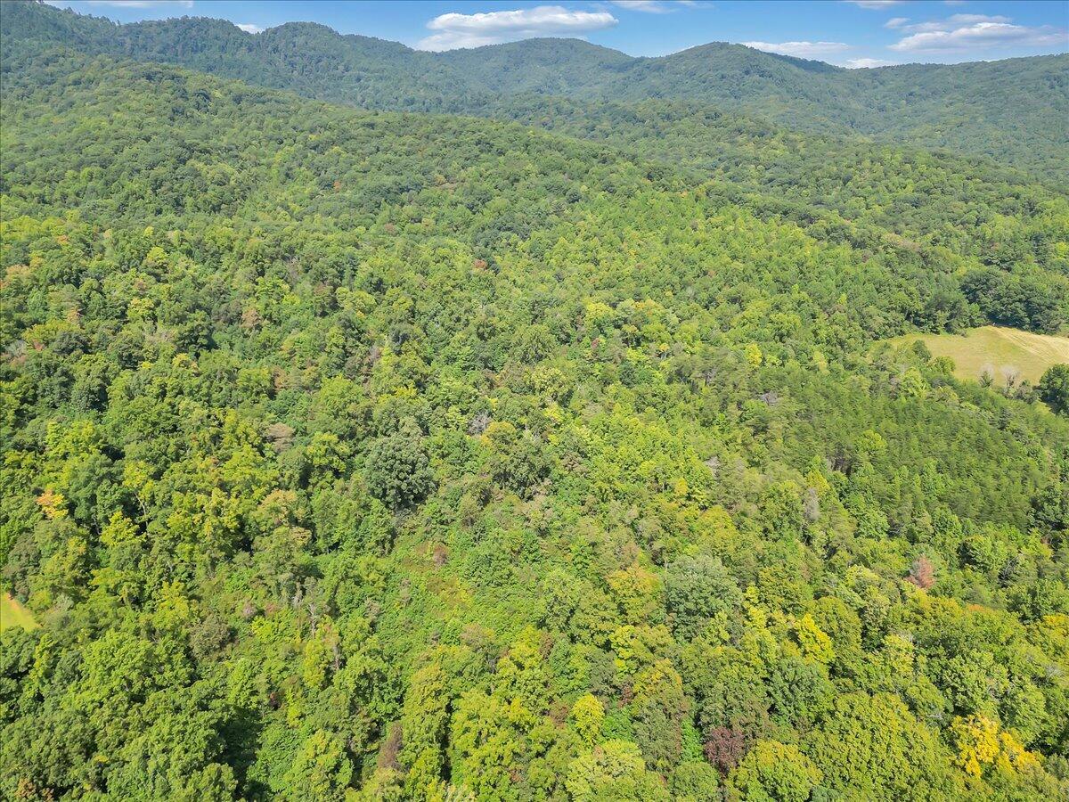 05-DJI_0349