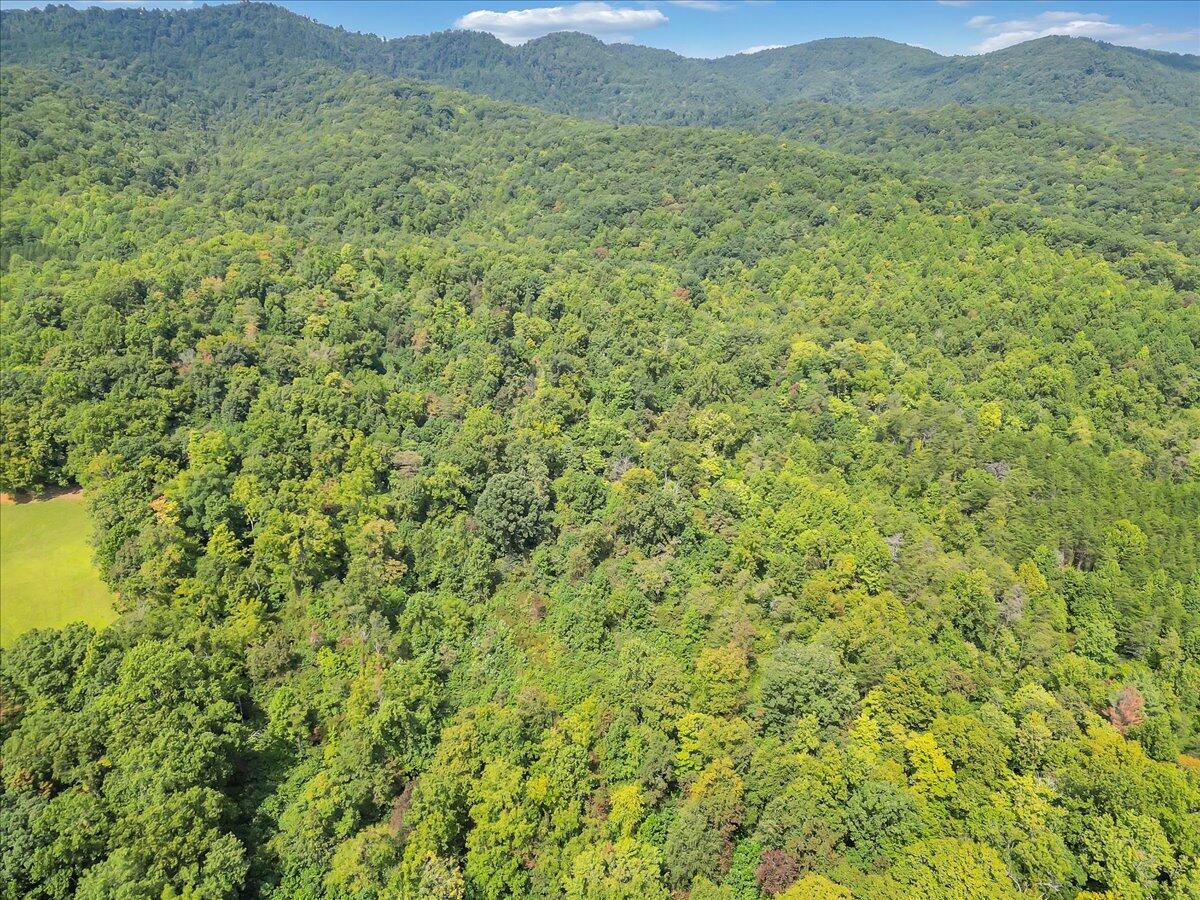0 Newcomb Road Floyd, VA 24091 - Photo 8 of 21 06-DJI_0350