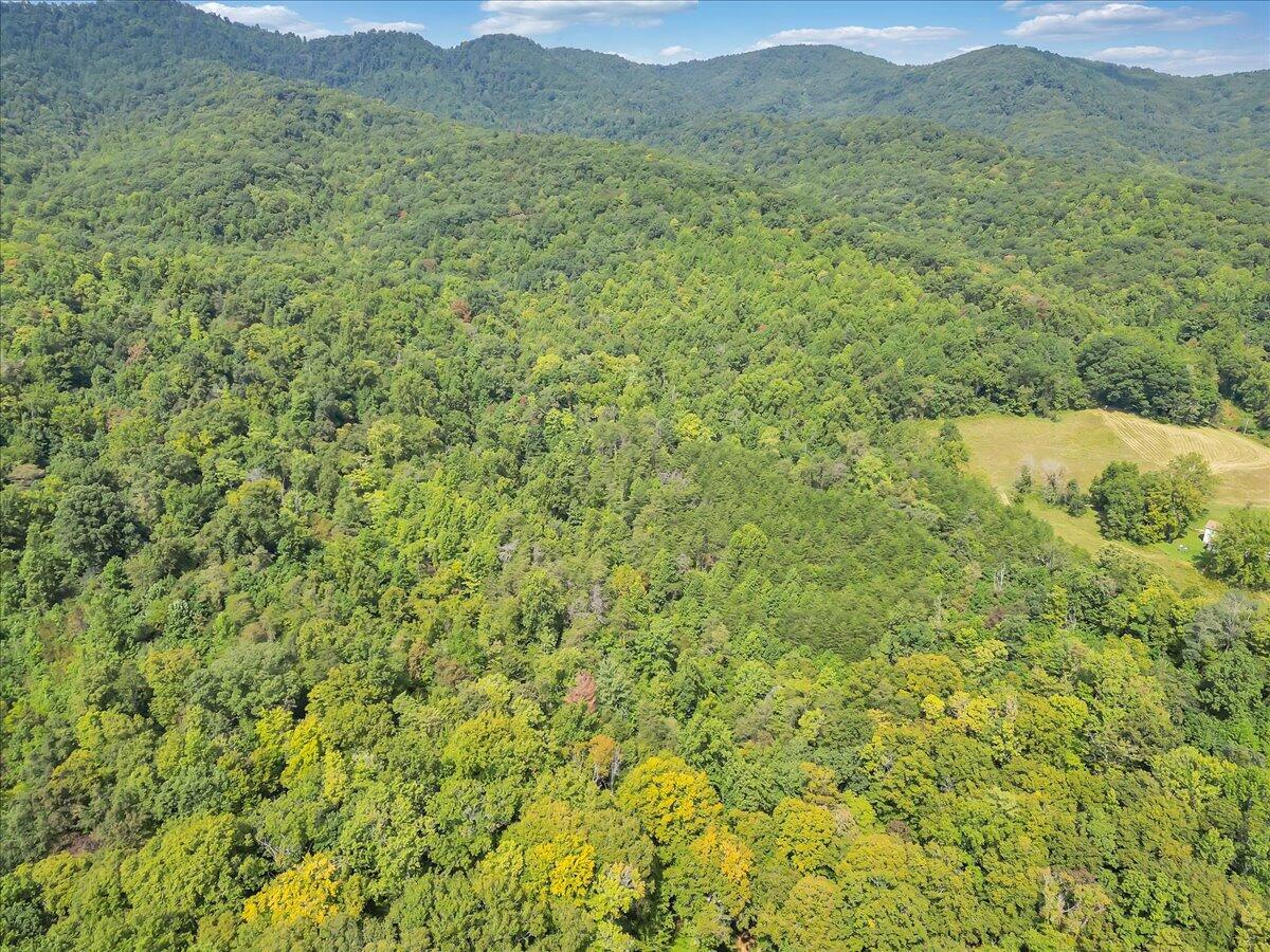 0 Newcomb Road Floyd, VA 24091 - Photo 9 of 21 07-DJI_0351